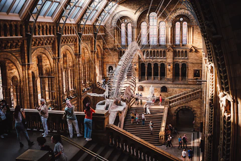 イギリスのロンドン自然史博物館